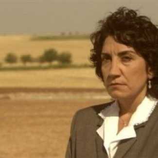 50 yaşında ikiz annesi oldu