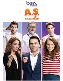 Aile Şirketi