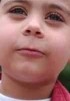 Araz Alem Famian
