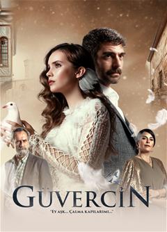 Güvercin