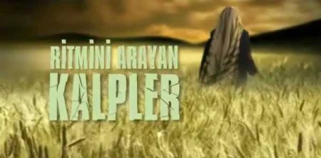 Ritmini Arayan Kalpler