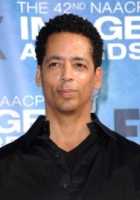 Stephen Williams