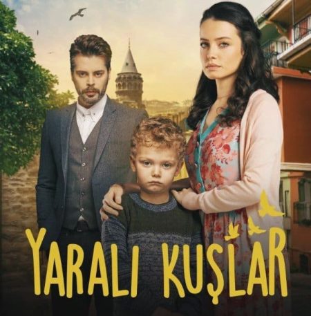 Yaralı Kuşlar
