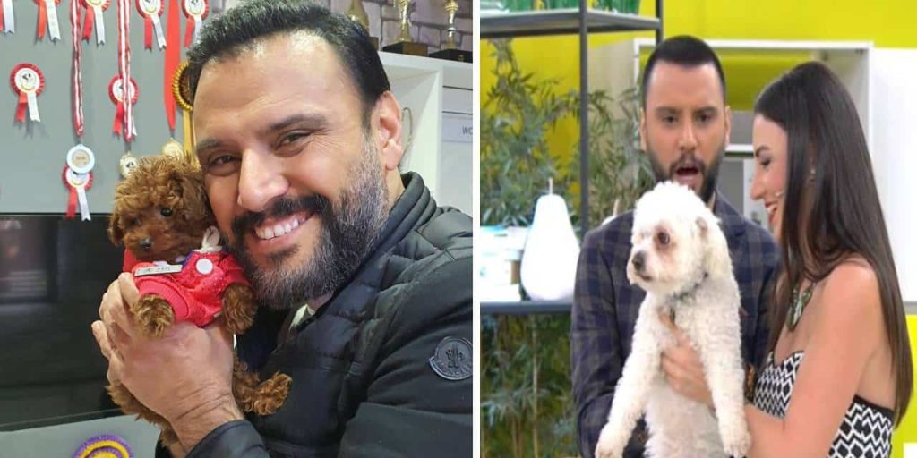 Alişan köpek korkusunu yendi