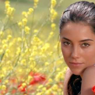 Cansu Dere Ehliyetini Kaptırdı