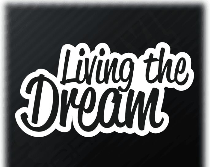 Comedy Central'dan yeni bir dizi: Living the Dream