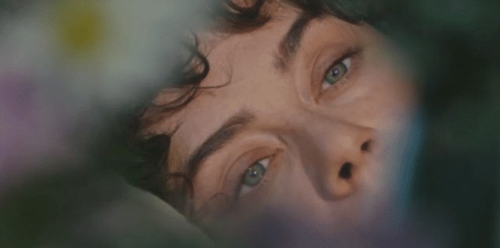 Demet Evgar Avlu dizisinden ayrıldı mı? Avlu Deniz yaşıyor mu? Demet Evgar Avlu dizisinden ayrıldı mı? Avlu Deniz yaşıyor mu?