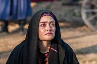 Darağacı