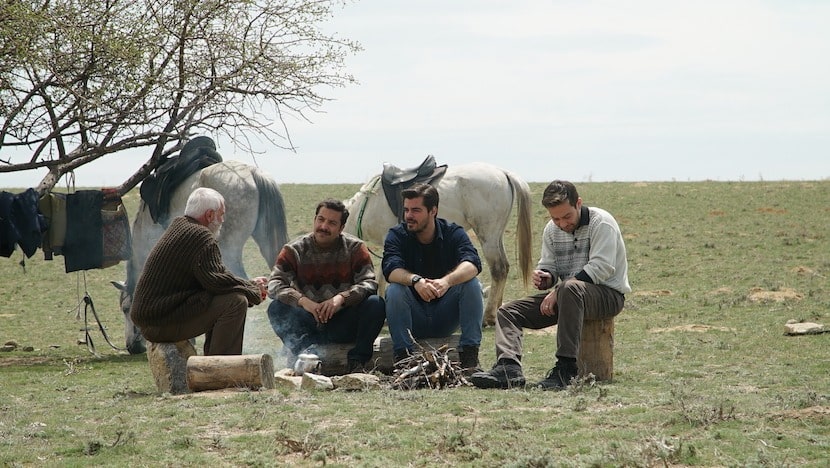 Amcaoğullarının