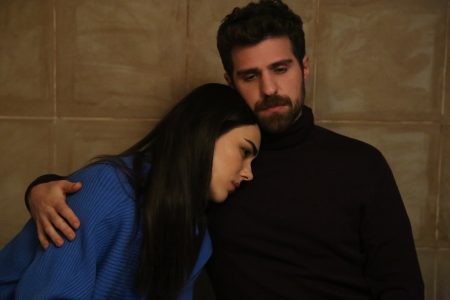 Kormanlar Zeytincilik yavaş yavaş kan kaybetmeye başlar!