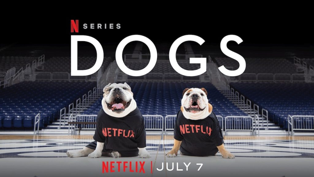 En iyi arkadaşlarımız geri döndü! Dogs 2. sezon Netflix’te! En iyi arkadaşlarımız geri döndü! Dogs 2. sezon Netflix'te!