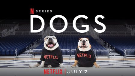 En iyi arkadaşlarımız geri döndü! Dogs 2. sezon Netflix'te!