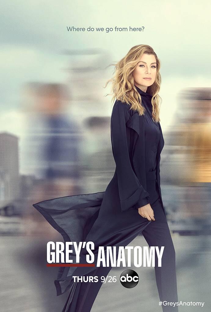 Grey's Anatomy 17. sezon sonunda bitecek mi? ABC başkanı adresi gösterdi!