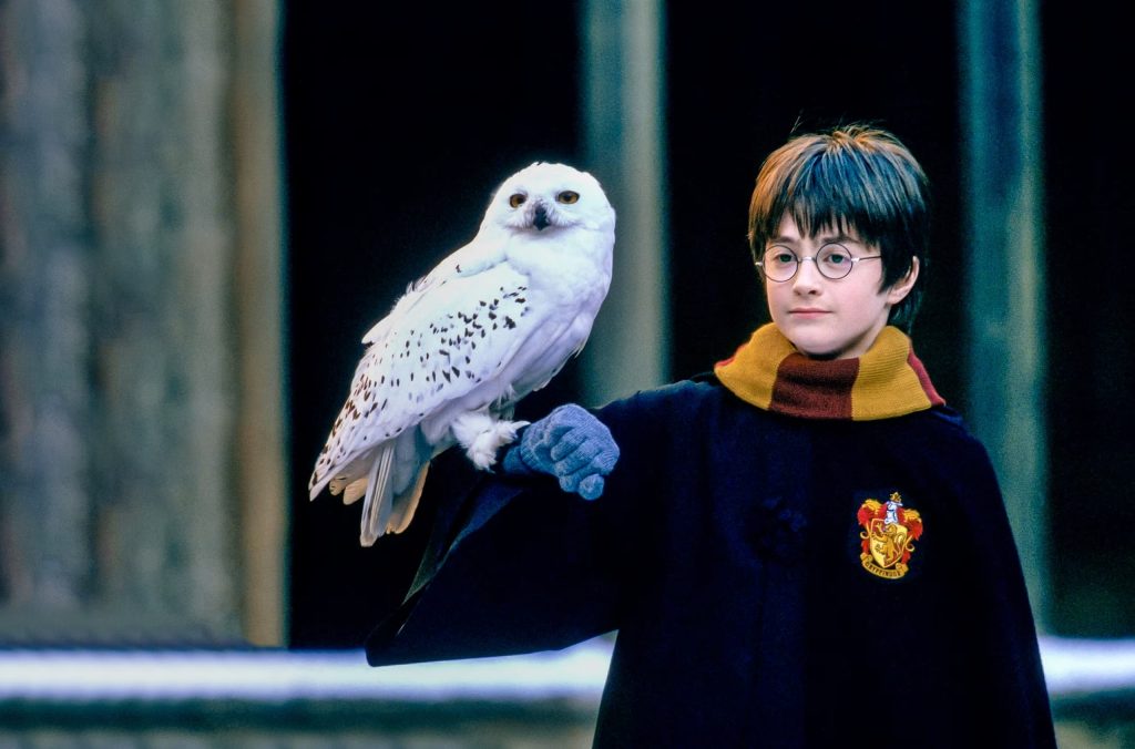 Harry Potter hayranlarına müjde!