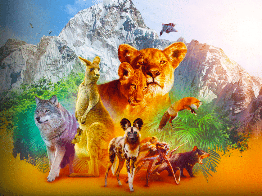 Hayvanların Sırları ile Netflix'te bambaşka bir deneyim! Animal nasıl bir dizi?