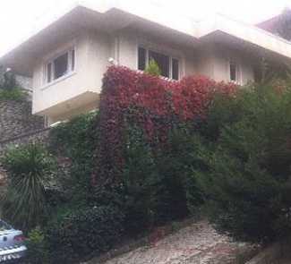 İşte Kıvanç’ın gizli bahçesi