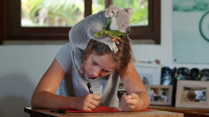 Izzy'nin Koala Dünyası 2. sezonuyla döndü! Yeni sezon detayları!