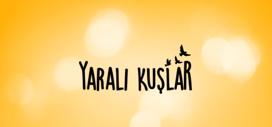Kanal D'nin yeni günlük dizisi Yaralı Kuşlar'ın ilk fragmanı yayınlandı! Yaralı Kuşlar oyuncuları ve konusu belli oldu!