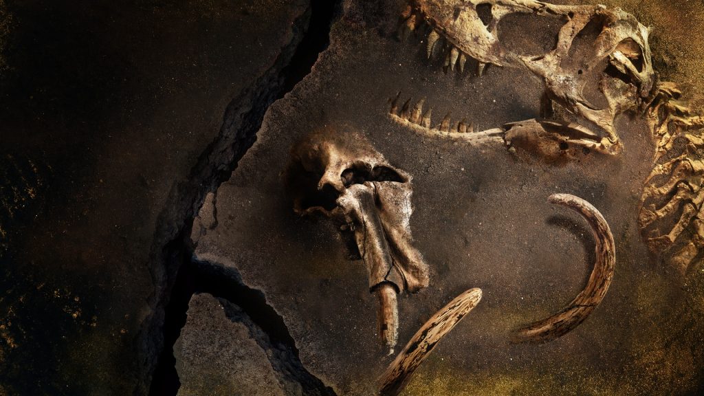 'Kayıp Hayvanların Gizemli Geçmişi' National Geographic ekranlarında başlıyor