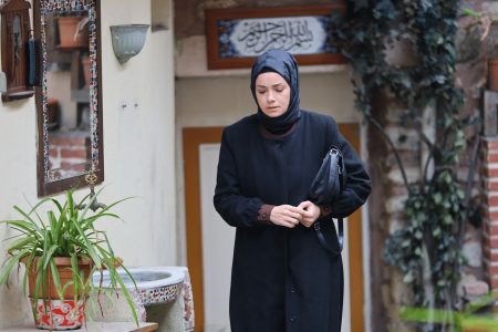 Kızıl Goncalar 12. Bölümde Mira ve Zeynep birlikte uyudu! Levent