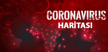 Koronavirüs haritası merak uyandırıyor! İşte o harita!