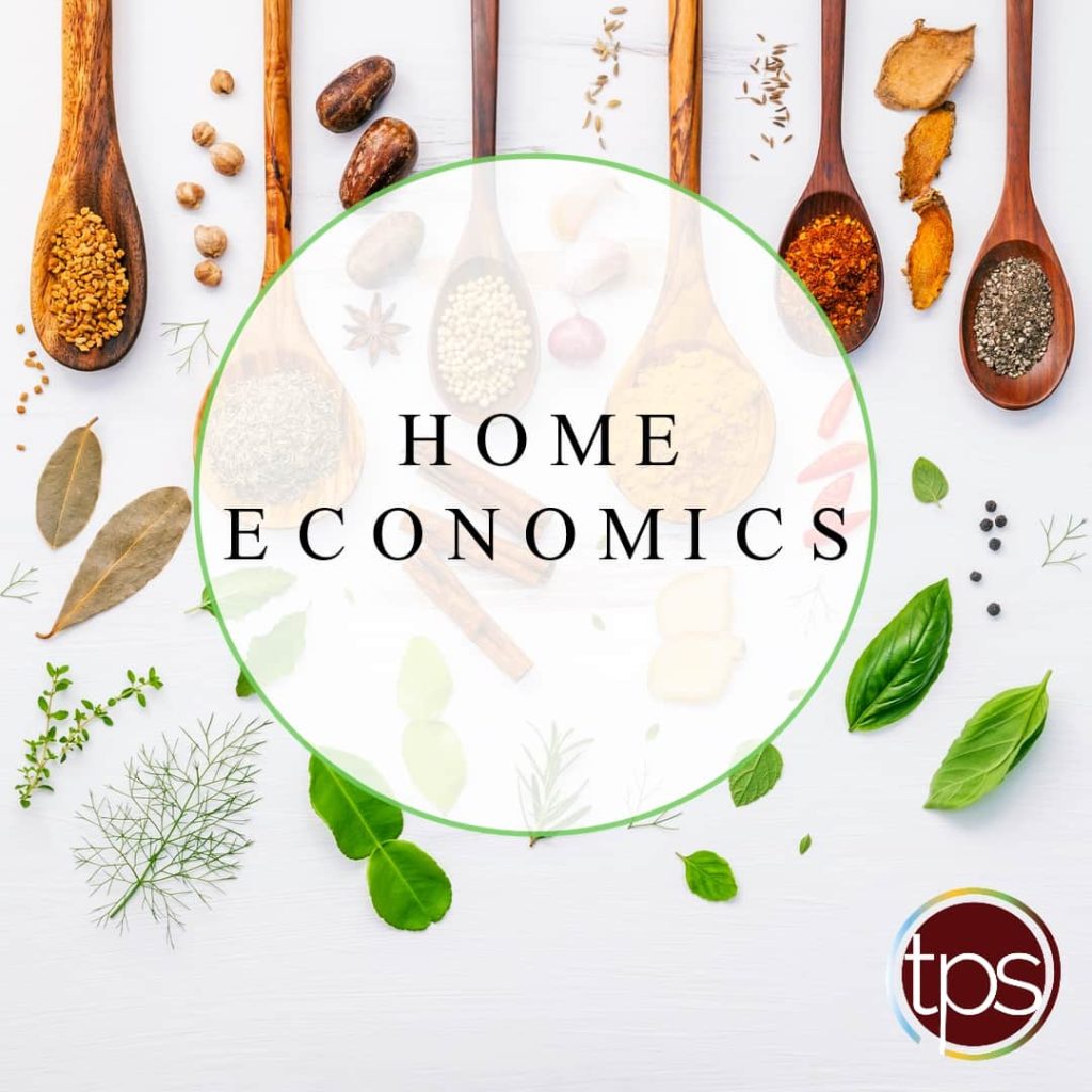 Madagaskar Penguenleri ekibinden Fox'a aile komedisi: Home Economics