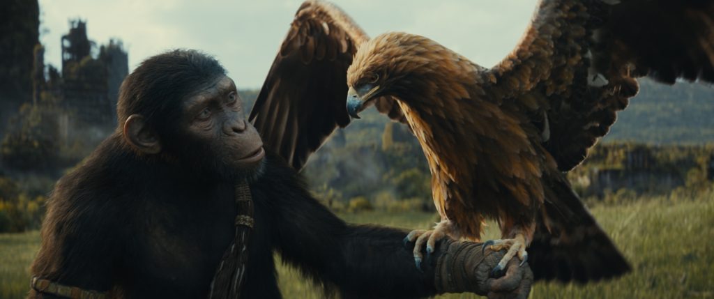 Maymunlar Cehennemi: Yeni Krallık filminden ilk fragman yayınlandı!
