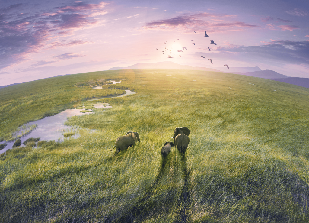 Merakla beklenen "Planet Earth III"ün ilk fragmanı yayınlandı!