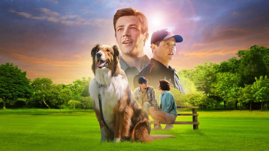 Netflix filmi Kurtarma Köpeği Ruby ile sıcacık bir serüven! The Flash yıldızı başrolde!
