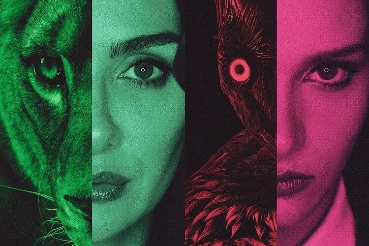 Netflix Kuş Uçuşu Yayınlandı! Kaç Bölüm? Tüm Merak Edilenler