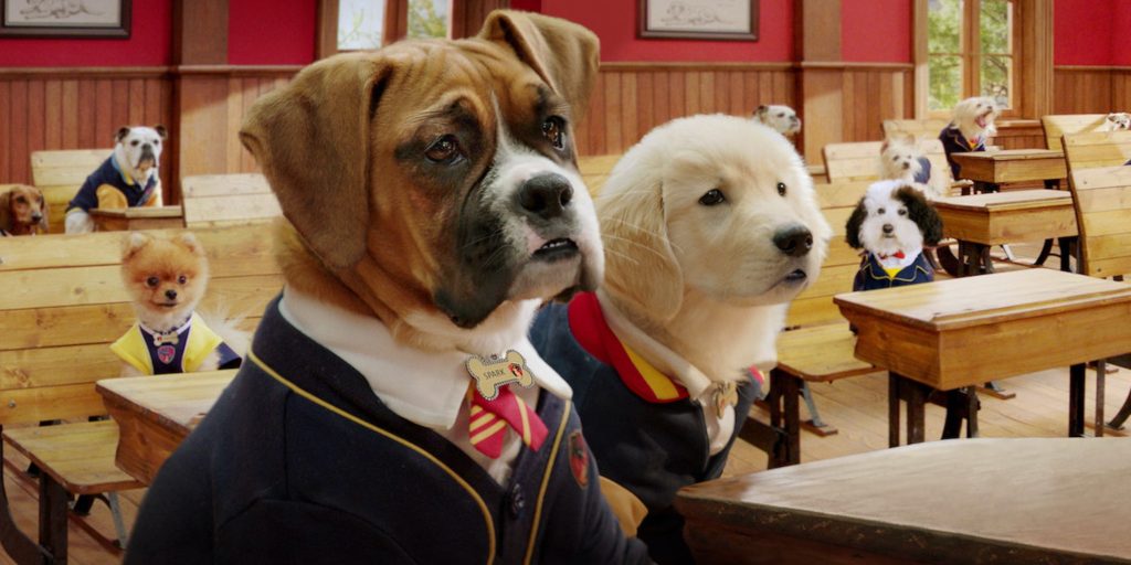 Pup Academy 2. sezon Netflix'te başladı! Yeni sezonda neler olacak?