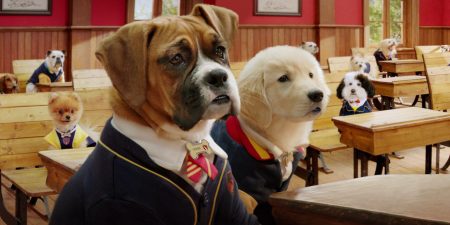 Pup Academy 2. sezon Netflix'te başladı! Yeni sezonda neler olacak?