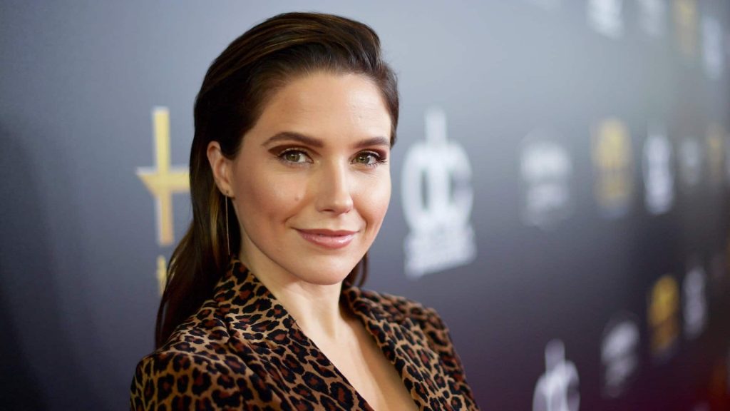 Sophia Bush'lu Surveillance dizi projesinin geleceği belli oldu!