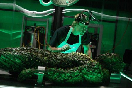 Swamp Thing 1. sezon 9. bölüm ne zaman? Yeni bölüm konusu ve fragmanı