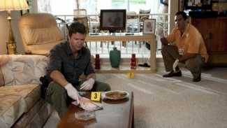 The Glades iptal edildi!
