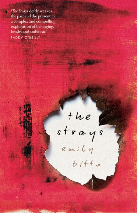 The Strays romanı dizi oluyor! The Strays nasıl bir dizi?