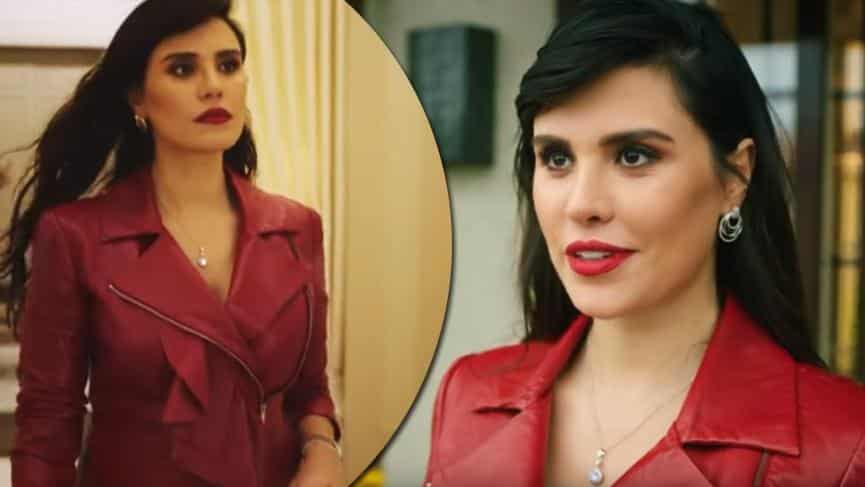 Ufak Tefek Cinayetler Şebnem Aksak kimdir?