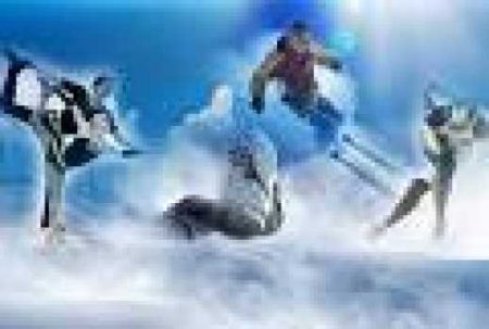 2014 Sochi Kış Olimpiyat Oyunları