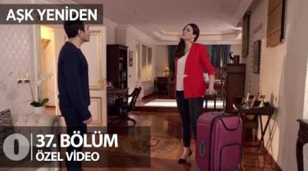 Şaziment