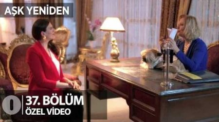 Şaziment'ten dans show.