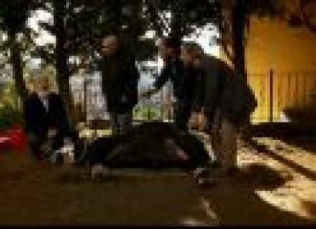 Kurban 1. Bölüm Fragmanı