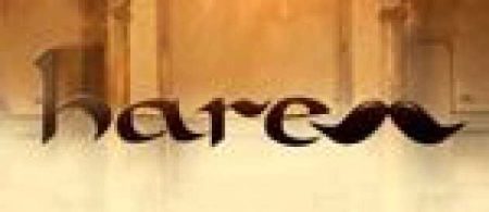 Harem 21. bölüm fragmanı