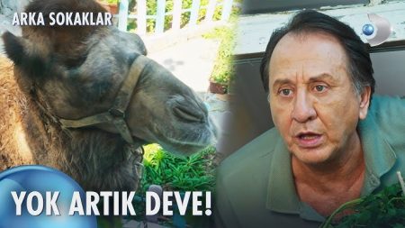 Arka Sokaklar 682. Bölüm | Hüsnü'ye cezaevini aratan ev huzuru!