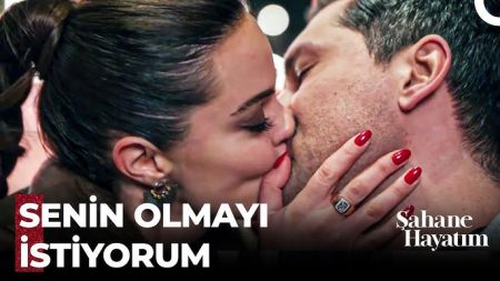 Şahane Hayatım 17. Bölüm - Şebnem
