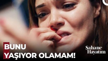 Şahane Hayatım 9. Bölüm -Şebnem'in Tüm Geçmişi Haber Oldu