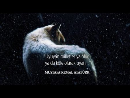 BÖRÜ Dizi Müziği - Teaser