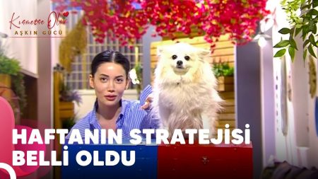 Kısmetse Olur: Aşkın Gücü 174. Bölüm - Evini Korumak İçin Mücadele Edecek İsimler