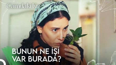Camdaki Kız 69. Bölüm - Nalan'ın Manolyası Türkan'ın Ellerinde