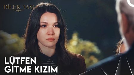 Dilek Taşı 14. Bölüm - Bazen Sadece Haklı Olmak Yetmiyor...