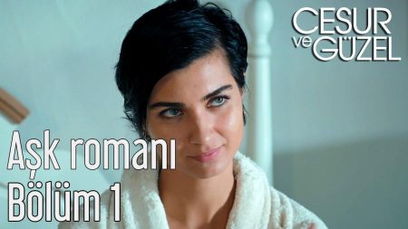 Aşk Romanı
